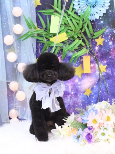 20250703コアくん